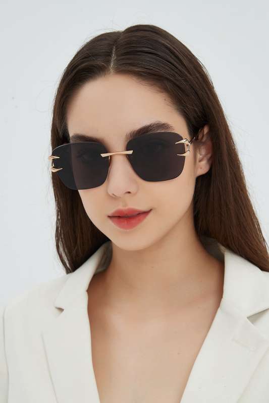 Picture of Roberto Cavalli Sunglasses _SKUfw55481766fw